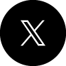公式X