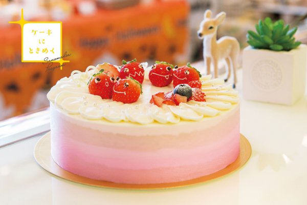 ケーキにときめく 佐野市内のおすすめ洋菓子店6店をピックアップ Sanomedia Web
