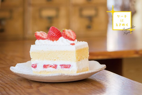 ケーキにときめく 佐野市内のおすすめ洋菓子店6店をピックアップ Sanomedia Web