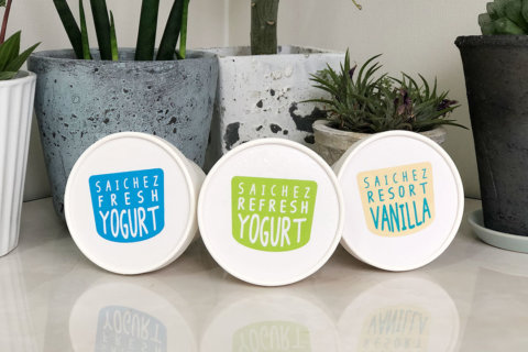 SaicheZ FROZEN YOGURT