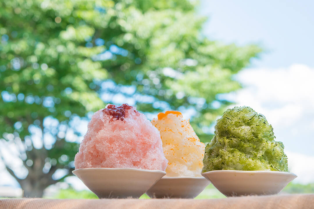 夏の風物詩 佐野市周辺で 涼 を楽しめる かき氷特集 Sanomedia Web