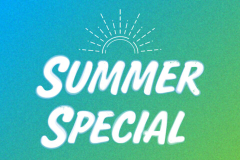 佐野プレミアム・アウトレットで「Summer Special」開催